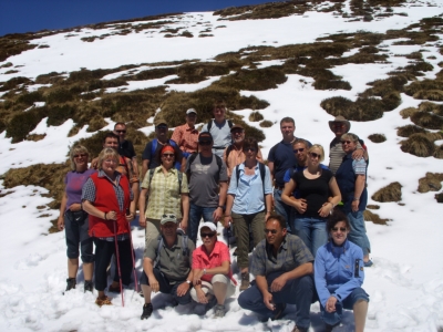 Gruppe